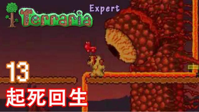 泰拉瑞亚专家生存 13 起死回生