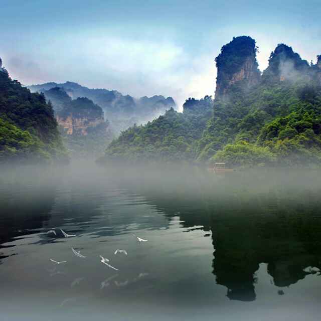 高山流水162728043頭像