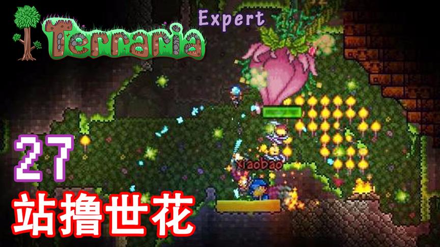 泰拉瑞亚专家生存 27 站撸世花