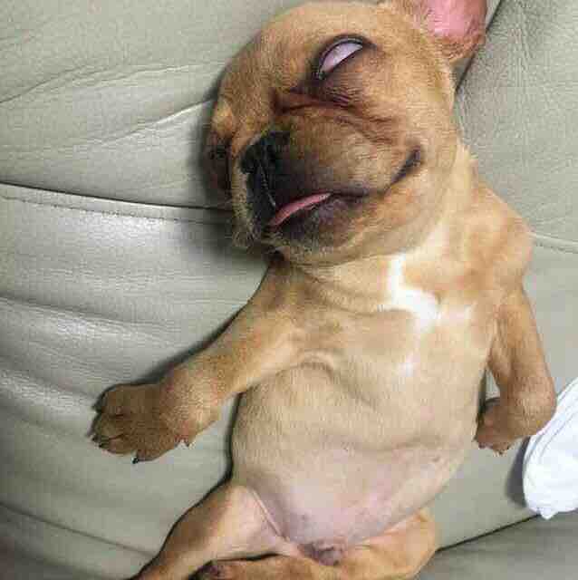 这个老哥有点稳头像