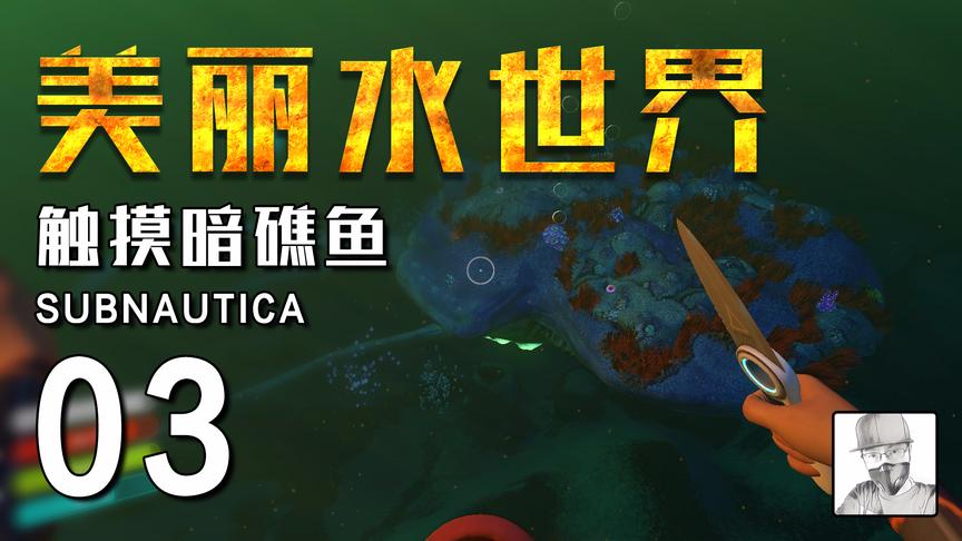 极致哥《美丽水世界》03，触摸巨型暗礁鱼