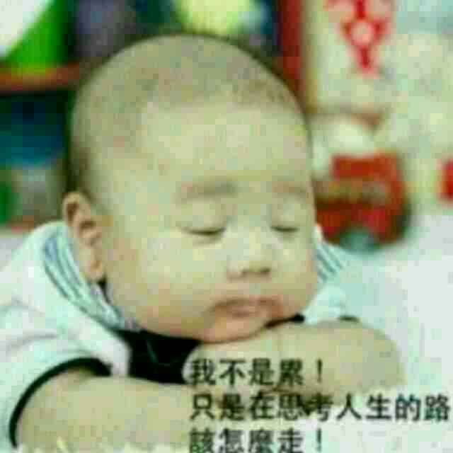 乐乐59762604头像