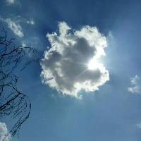 坐观世间百态头像