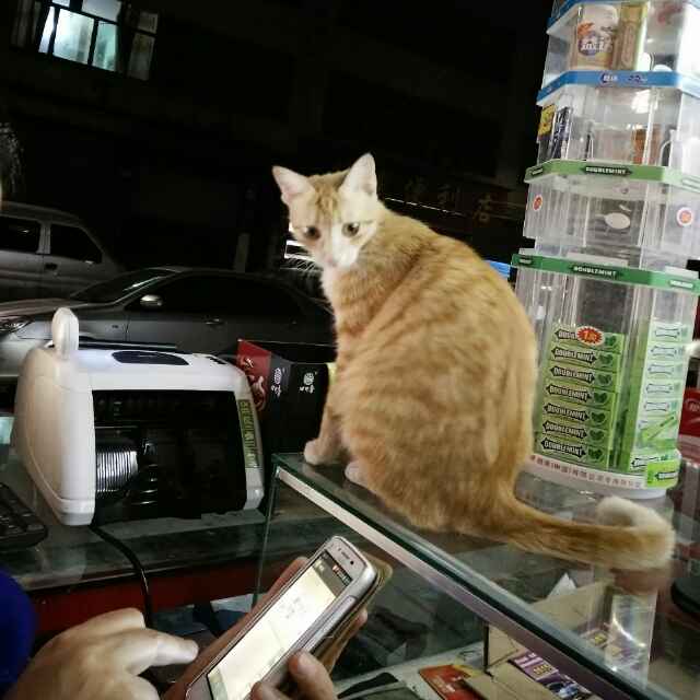 百姓超市77132984头像