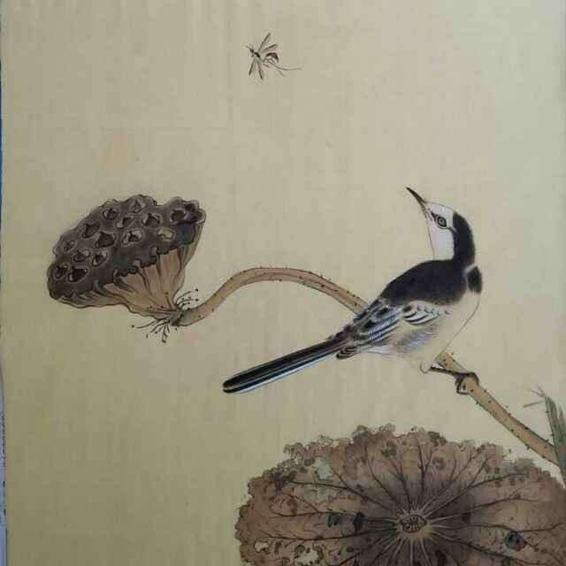 你说我该怎么办74629389头像