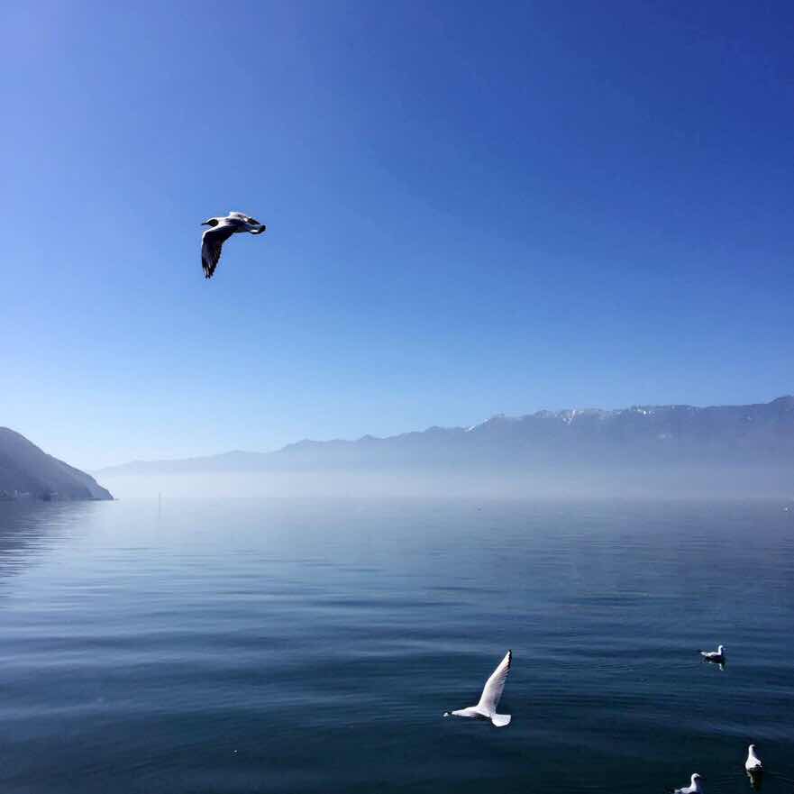 横舟野渡63563946头像