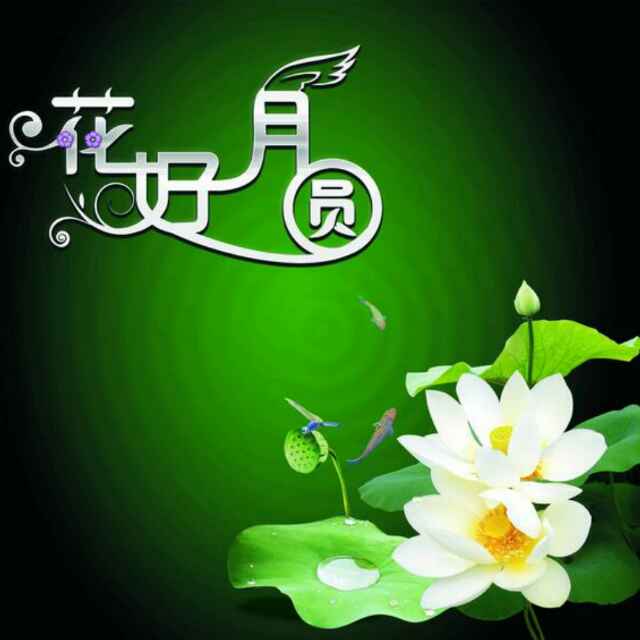 花好月圆夜15头像
