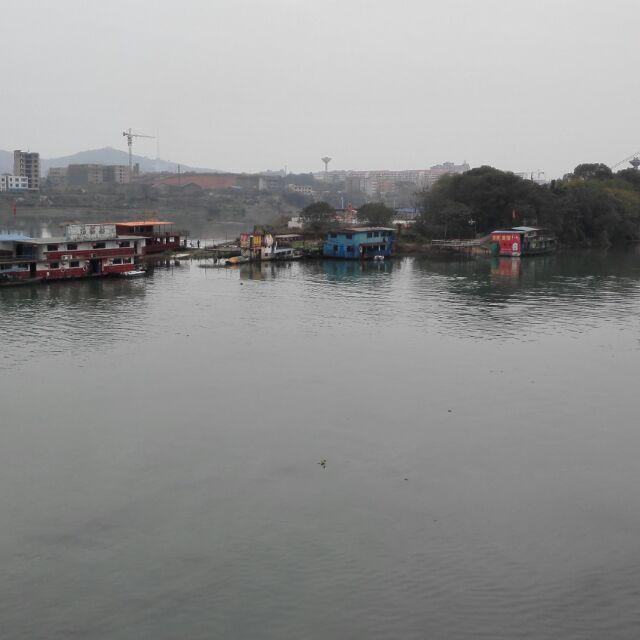 阿彪38684866头像