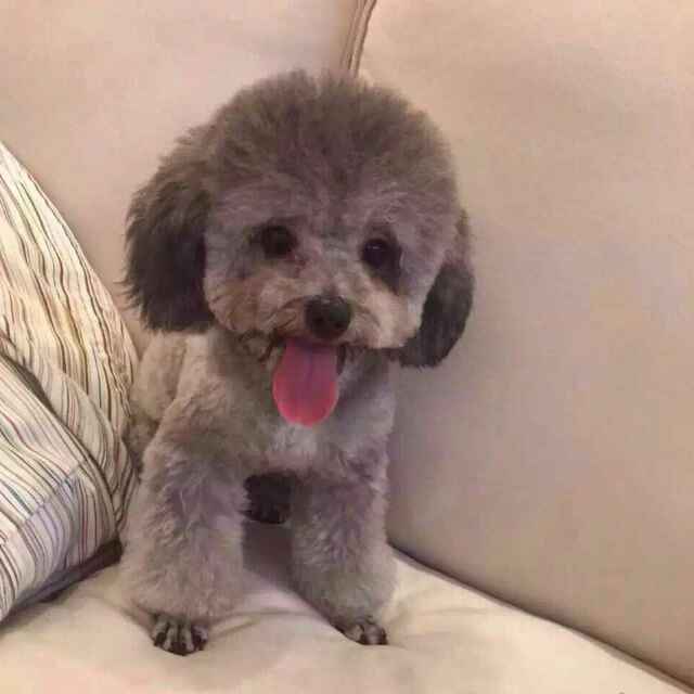 不懂142527223头像