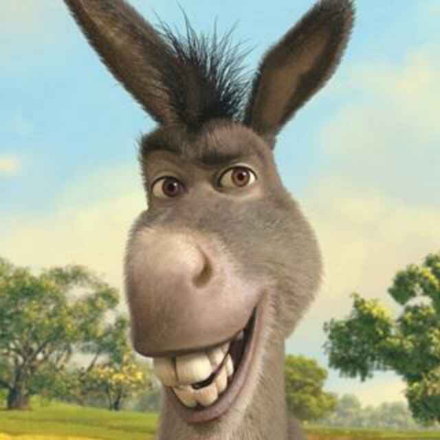 史瑞克的驴头像