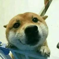 大事儿逼头像
