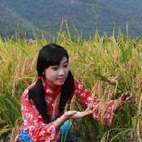 四妹美食头像