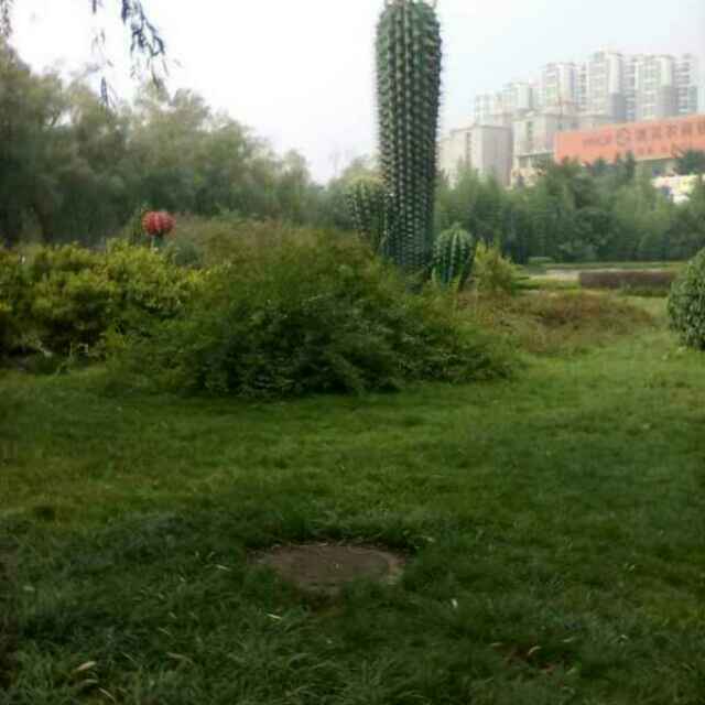 一生平安193491116头像