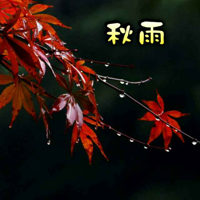 农民工俱乐部头像