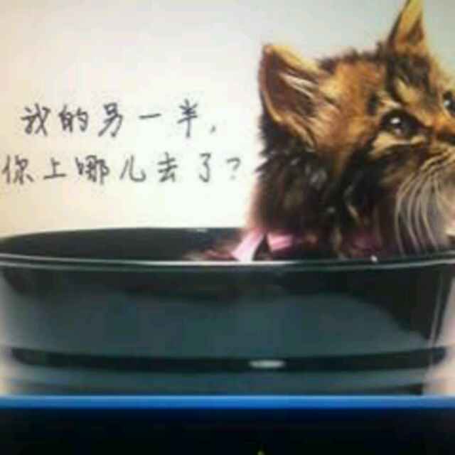 夏风194301297头像