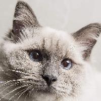 时间猎奇头像