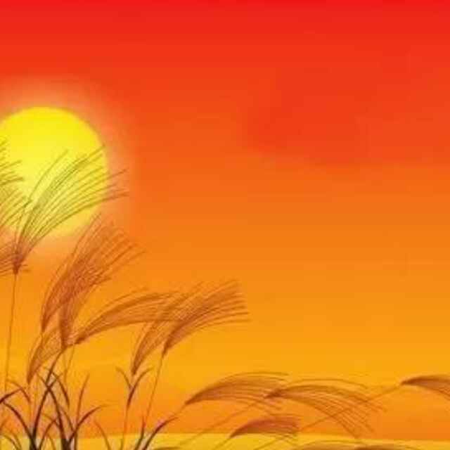 夕阳红仝的个人主页 - 西瓜视频