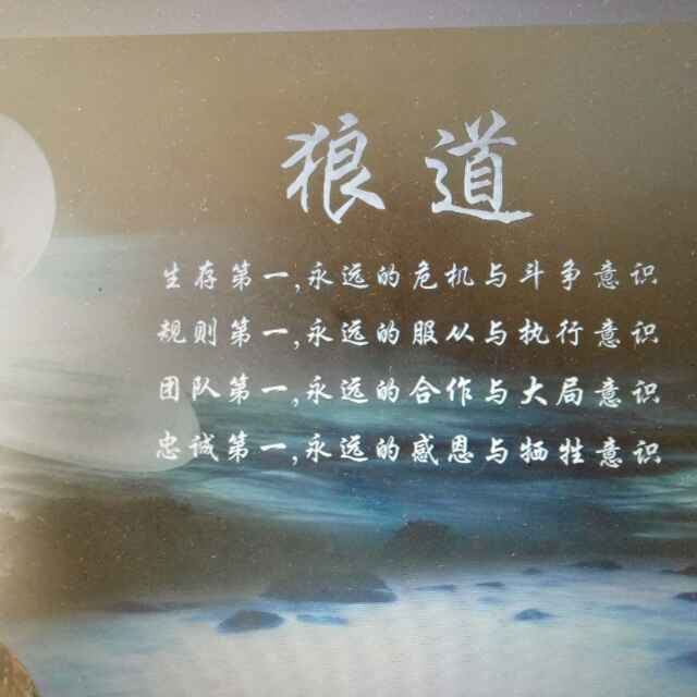 孤独的西伯利亚狼2