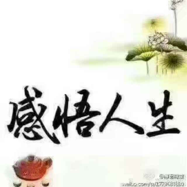 魏海燕13头像