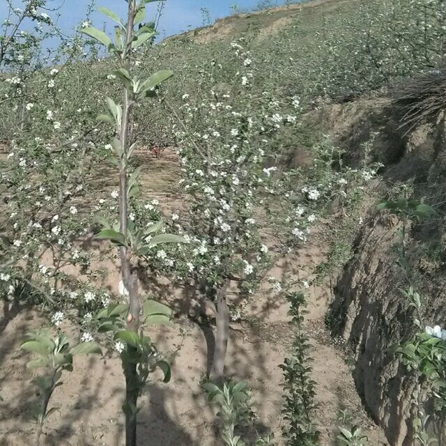 用户64608688924头像