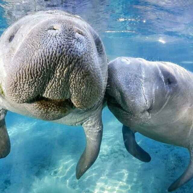 吉祥的藏獒的个人主页 - 西瓜视频