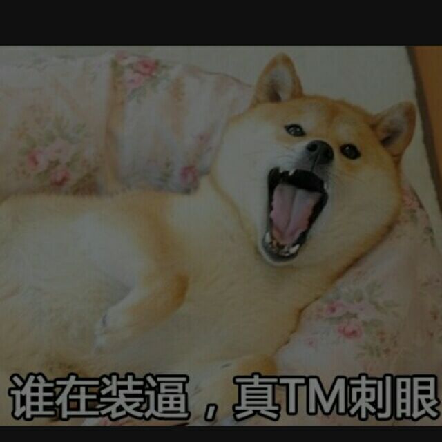 神烦狗202793397头像