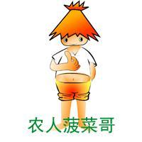 农人菠菜哥头像