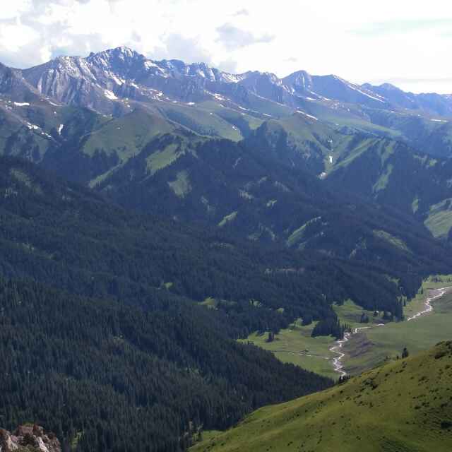 可可西里新疆头像