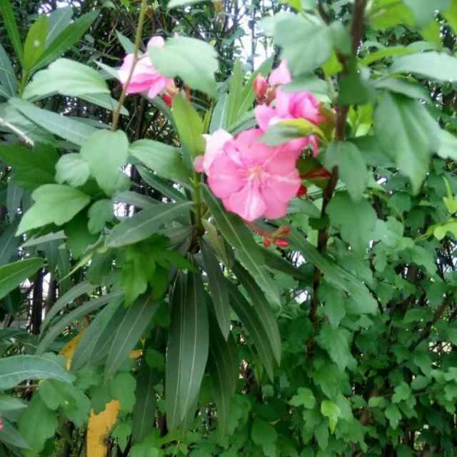 珍惜美好33头像