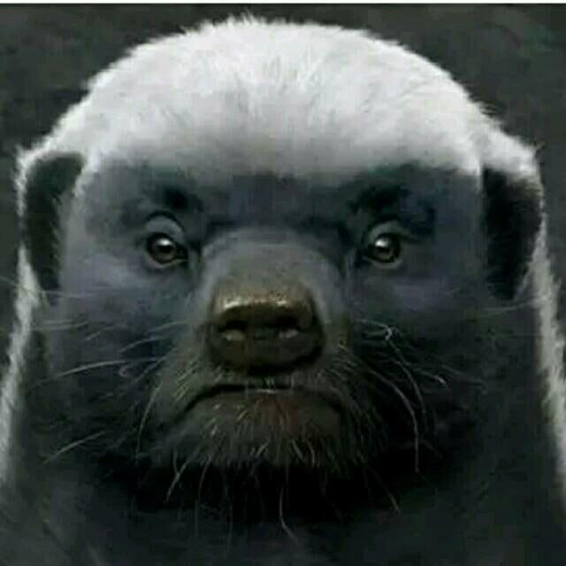 王者平头哥头像