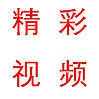 来自全球的精彩视频头像