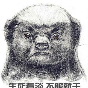 小明爸爸叫小月简介:请叫我达文西2938关注68粉丝4095获赞ta还没有