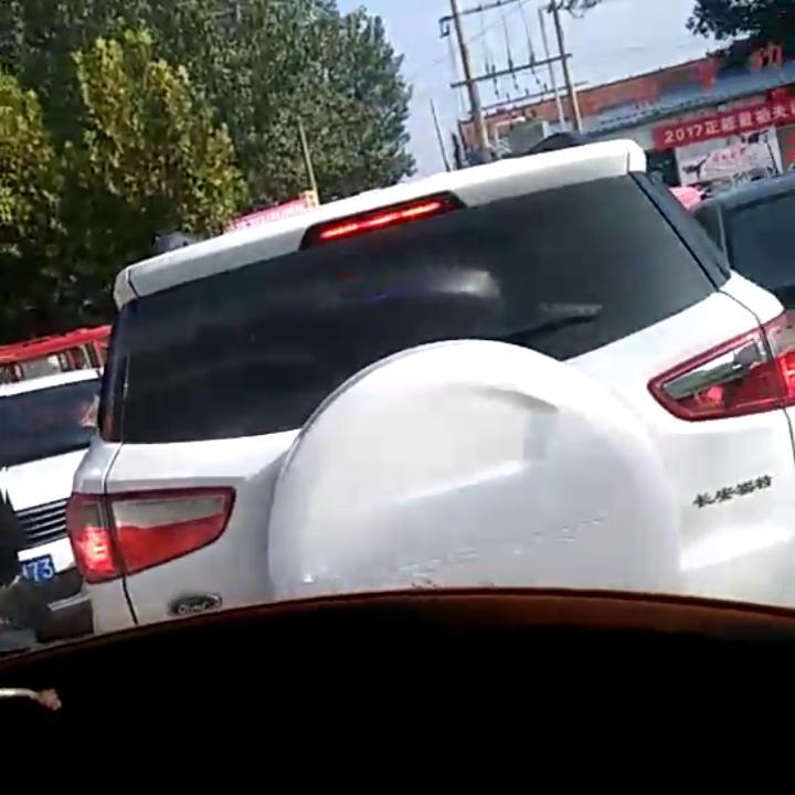 倩杨诺头像