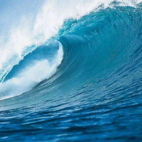 海水不比泪咸哦头像