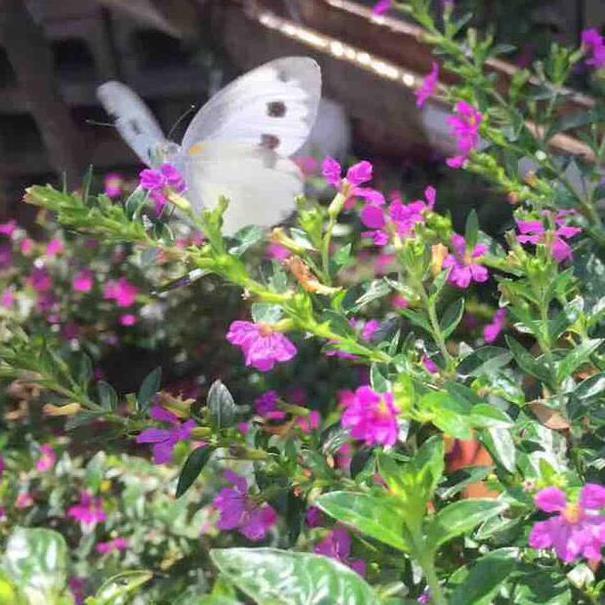 向阳亲子厨园头像