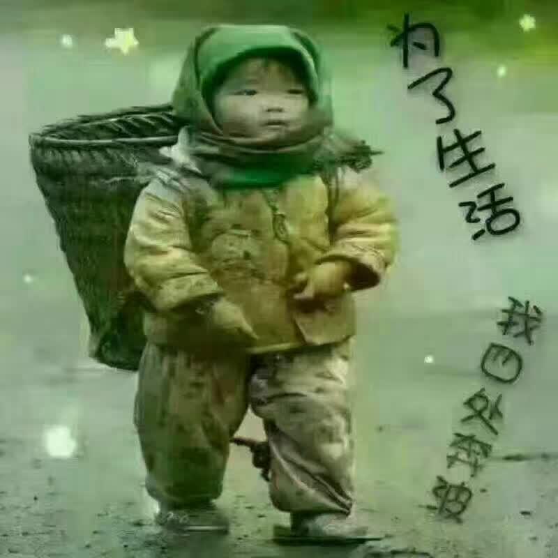 冷暖两心知头像