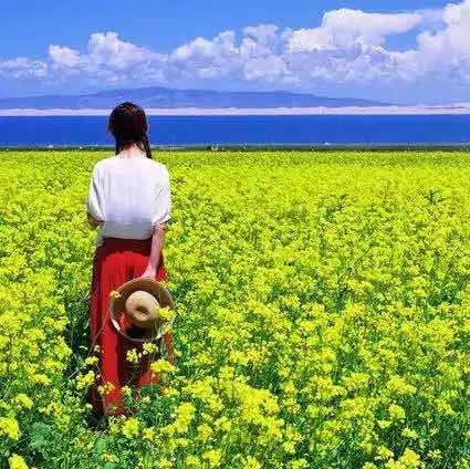 风和日丽228796135头像