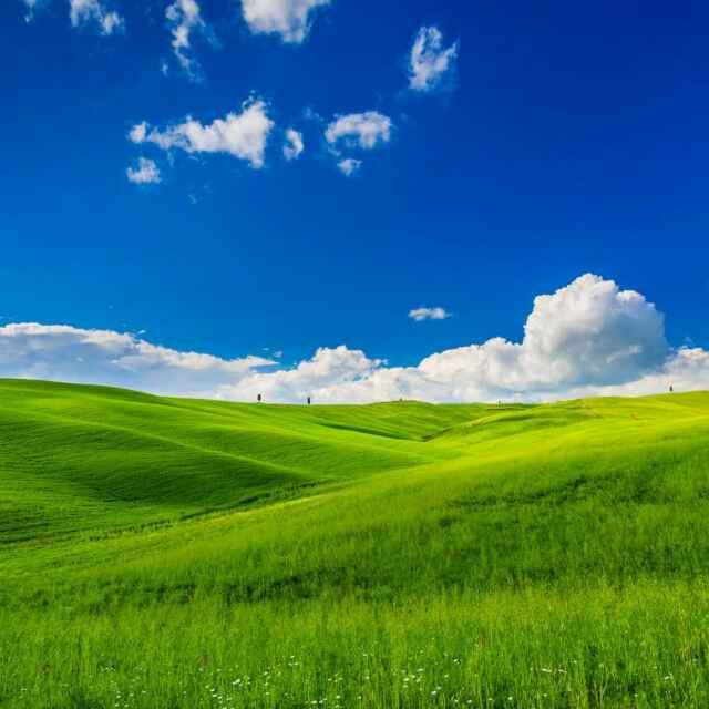 东方日出229179665头像