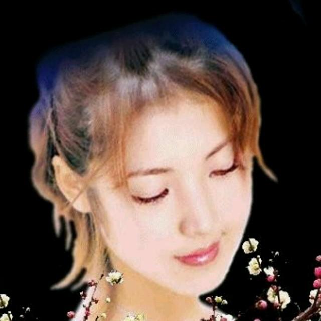 过眼云烟228366616头像