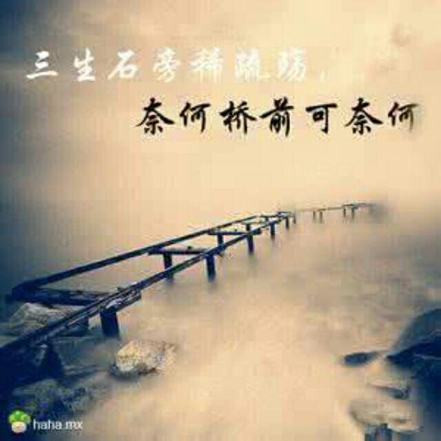 相约奈何桥233492002头像