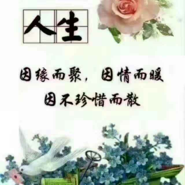 为你停留233600035头像