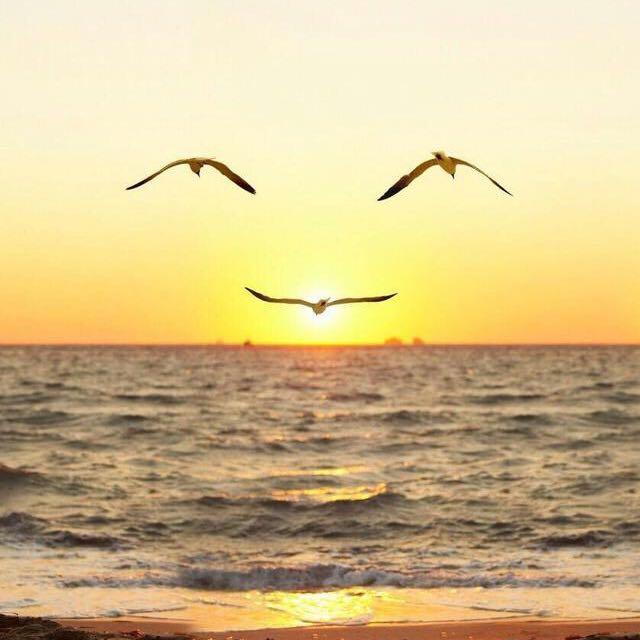 正能量240980636的个人主页 - 西瓜视频