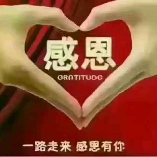 灿烂百灵鸟45头像