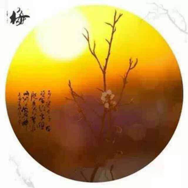 历尽沧桑头像