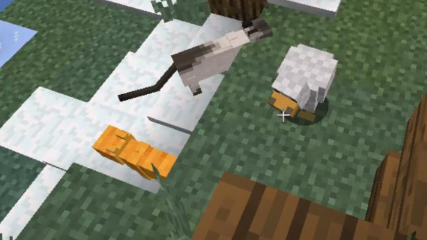 小橙子姐姐我的世界中国版小游戏躲猫猫：外挂太多没人性