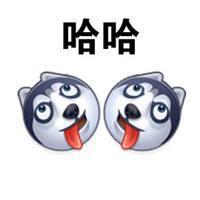 索马里海带宠物乐园头像