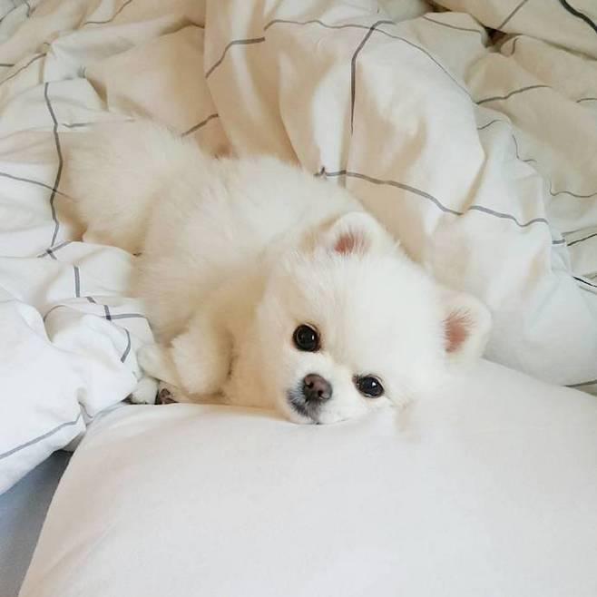 赵雄赳赳头像