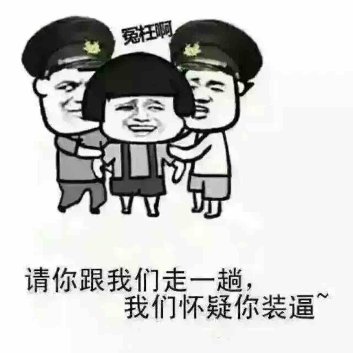 曾经的质疑头像