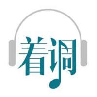 着调music头像