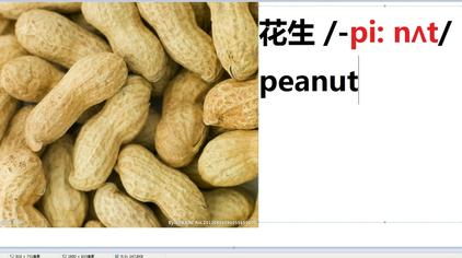 花生牛奶的英文 西瓜视频